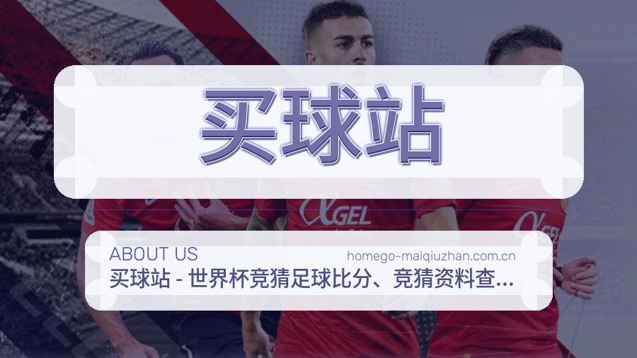 买球站APP服务说明图片